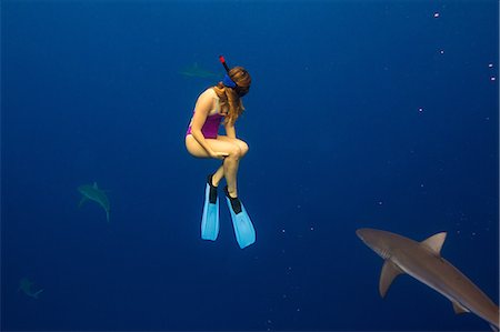 flipper - Underwater view of woman snorkeling with sea life, Oahu, Hawaii, USA Foto de stock - Sin royalties Premium, Código: 614-08880846