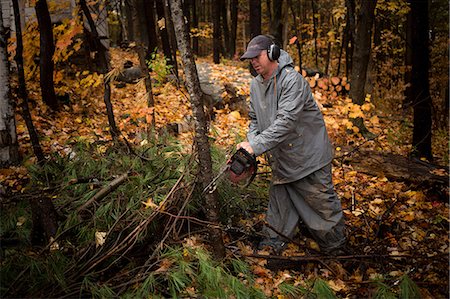 simsearch:614-09127284,k - Mature man using chainsaw in autumn forest, Upstate New York, USA Stock Photo - Premium Royalty-Free, Code: 614-08908635