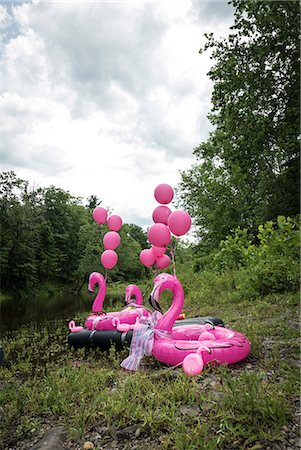 Inflatable flamingoes and pink balloons in rural area Photographie de stock - Premium Libres de Droits, Code: 614-08908636