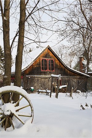 quebec barn - Old wooden rustic barn in backyard garden, Quebec, Canada Stock Photo - Premium Royalty-Free, Code: 614-08926178