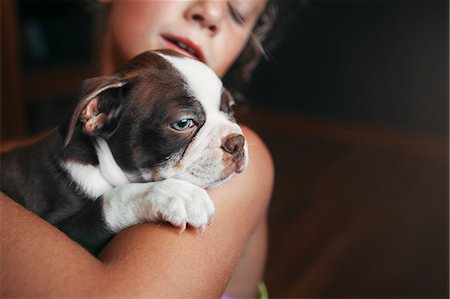 simsearch:614-08926187,k - Girl hugging Boston Terrier puppy Stock Photo - Premium Royalty-Free, Code: 614-08926185