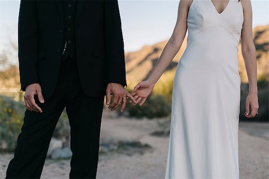 Bride and groom, in arid landscape, touching hands, mid section Stock Photo - Premium Royalty-Free, Image code: 614-08926617