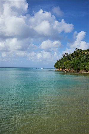 st lucia - Scenic view, Saint Lucia, Caribbean Foto de stock - Sin royalties Premium, Código: 614-08926722