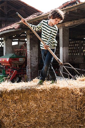 Boy on straw bale with pitchfork on organic dairy farm Photographie de stock - Premium Libres de Droits, Code: 614-08946811