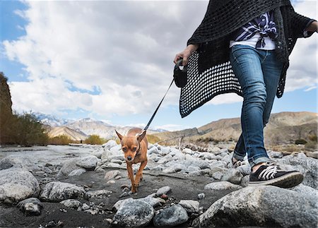 simsearch:614-08329432,k - Neck down view of woman walking dog on rocky riverbed Stockbilder - Premium RF Lizenzfrei, Bildnummer: 614-08982786