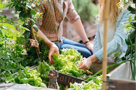 simsearch:649-08239053,k - Young man and woman picking lettuces from wooden trough Foto de stock - Sin royalties Premium, Código: 614-08982796