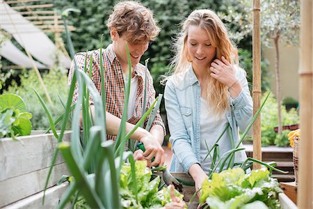 Young man and woman tending to plants in wooden troughs Stock Photo - Premium Royalty-Free, Code: 614-08982798