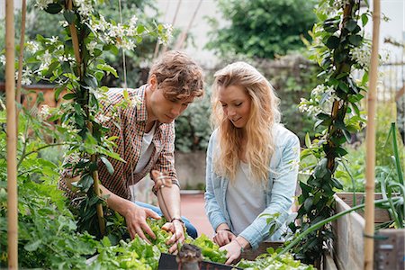 Young man and woman tending to plants in wooden troughs Foto de stock - Sin royalties Premium, Código: 614-08982793