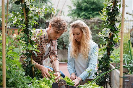 Young man and woman tending to plants in wooden troughs Photographie de stock - Premium Libres de Droits, Code: 614-08982793