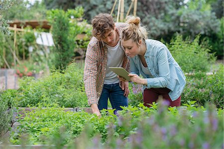 simsearch:649-08824798,k - Young man and woman in urban garden, photographing plants using digital tablet Foto de stock - Sin royalties Premium, Código: 614-08982820