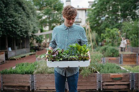 simsearch:614-06624055,k - Man in garden holding tray of plants Stock Photo - Premium Royalty-Free, Code: 614-08982857