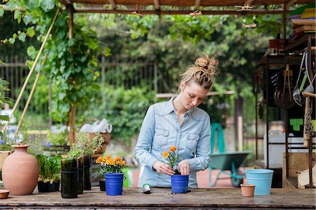 potting shed - Woman in potting shed potting plant Stock Photo - Premium Royalty-Free, Code: 614-08982869