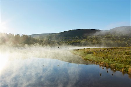 Scenic view, Colgate Lake Wild Forest, Catskill Park, New York State, USA Stock Photo - Premium Royalty-Free, Code: 614-08990345