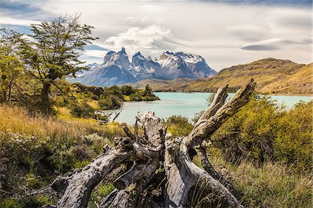 simsearch:614-09213880,k - Mountain landscape with Grey Lake, Paine Grande and Cuernos del Paine, Torres del Paine national park, Chile Foto de stock - Sin royalties Premium, Código: 614-09017611