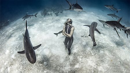 entouré - Underwater view of female free diver standing on seabed surrounded by reef sharks, Bahamas Photographie de stock - Premium Libres de Droits, Code: 614-09027055