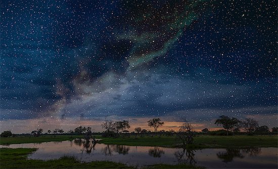 Starry night sky over swamp, Okavango Delta, Botswana, Limpopo, South Africa, Africa Photographie de stock - Premium Libres de Droits, Le code de l’image : 614-09027071