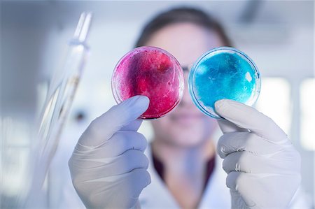 petri dishes - Laboratory worker examining two petri dishes side by side Stock Photo - Premium Royalty-Free, Code: 614-09027117