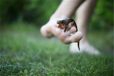 salamandra - Newt on teenage boys foot, close-up Foto de stock - Royalty Free Premium, Número: 614-09038572