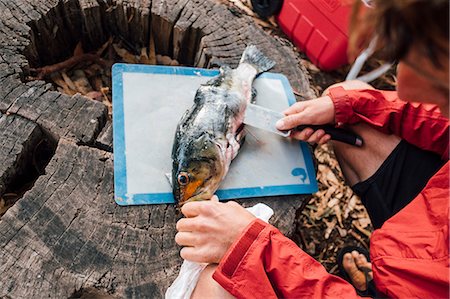 people catching fishes - Over shoulder view of young man filleting fresh fish on tree stump, Santa Cruz Island, California, USA Stock Photo - Premium Royalty-Free, Code: 614-09038723