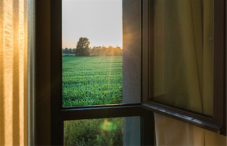 farming - Window view of green field at sunset Stock Photo - Premium Royalty-Free, Code: 614-09056572