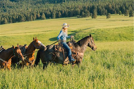 Teenage girl leading four horses, Enterprise, Oregon, United States, North America Foto de stock - Sin royalties Premium, Código: 614-09056866