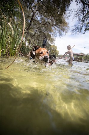 destination - Dog swimming in water, girl playing in background, Destin, Florida Photographie de stock - Premium Libres de Droits, Code: 614-09056956