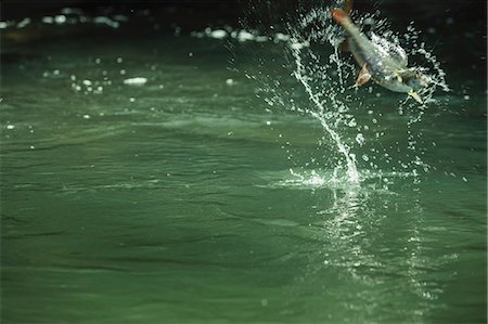 pegadas - Fish caught on fishing line leaping from river, Mozirje, Brezovica, Slovenia Foto de stock - Royalty Free Premium, Número: 614-09056995