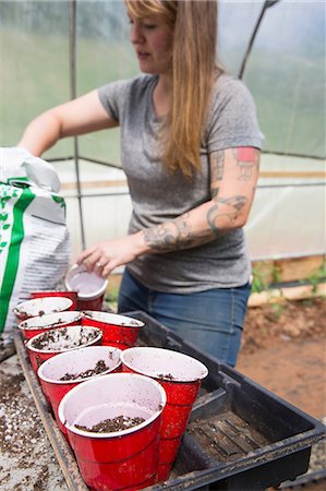 Woman in polytunnel filling plastic cups with compost Foto de stock - Sin royalties Premium, Código: 614-09079081