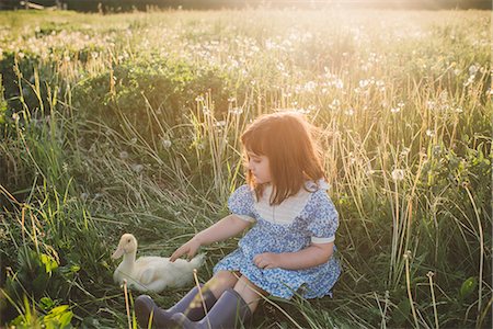 simsearch:400-05753325,k - Young girl in field, stroking duck Stock Photo - Premium Royalty-Free, Code: 614-09110800