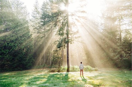 simsearch:614-09135005,k - Rear view of man looking at sunlight through trees in forest, Bainbridge, Washington, United States Fotografie stock - Premium Royalty-Free, Codice: 614-09135009