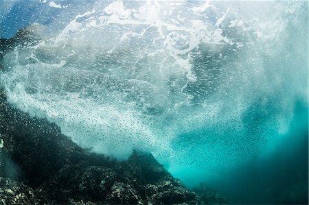 shoal (group of marine animals) - Silverside sardines swimming close to wave breakers, Puerto Vallarta, Jalisco, Mexico Foto de stock - Sin royalties Premium, Código: 614-09159527