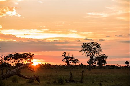 Dramatic orange sky at sunset, Okavango Delta, Botswana Stock Photo - Premium Royalty-Free, Code: 614-09159556