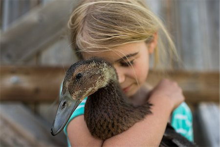 simsearch:614-08880760,k - Girl with eyes closed hugging farm duck Foto de stock - Royalty Free Premium, Número: 614-09159612