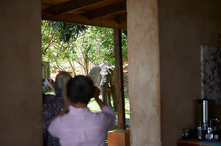 simsearch:649-07596543,k - Tourists taking photograph of elephant, Zambezi, Zambia Stock Photo - Premium Royalty-Free, Code: 614-09178363
