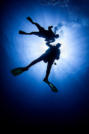 simsearch:693-03312000,k - Silhouette of scuba divers, Cozumel, Quintana Roo, Mexico Photographie de stock - Premium Libres de Droits, Code: 614-09178463