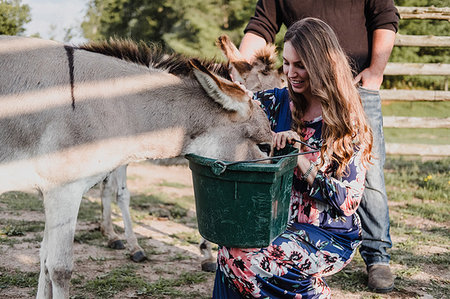 simsearch:614-06043912,k - Couple feeding pet donkeys Stock Photo - Premium Royalty-Free, Code: 614-09198148