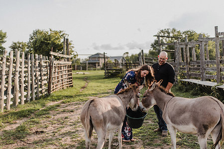 simsearch:614-06043912,k - Couple feeding pet donkeys Stock Photo - Premium Royalty-Free, Code: 614-09198166