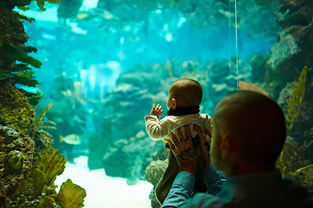 Father and son at aquarium Stock Photo - Premium Royalty-Free, Code: 614-09210159