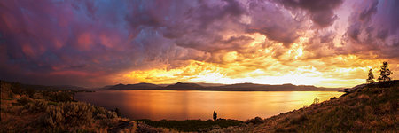 Panoramic view of a vineyard, Okanagan Lake, Summerland, Naramata,  British Columbia, Canada Photographie de stock - Premium Libres de Droits, Code: 614-09211119