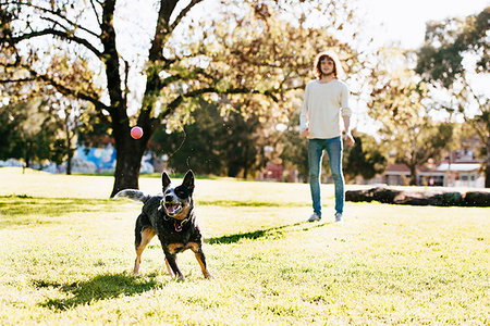 simsearch:614-06043480,k - Man playing ball with dog in park Stockbilder - Premium RF Lizenzfrei, Bildnummer: 614-09211380