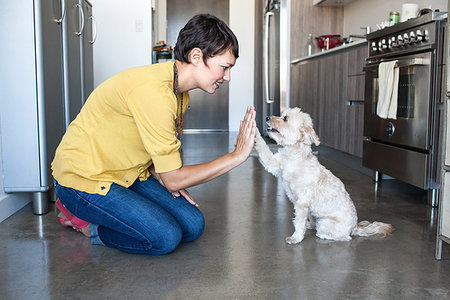 dogs and woman in kitchen - Young woman giving dog a high five in kitchen Stock Photo - Premium Royalty-Free, Code: 614-09211708