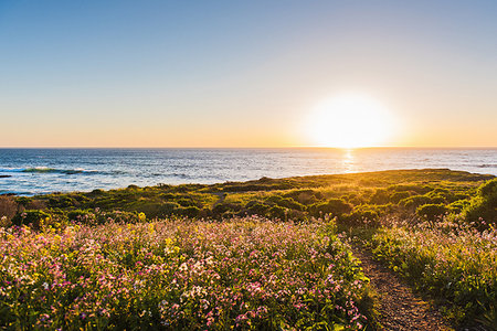 simsearch:614-06403114,k - View of sea and path at sunrise, San Luis Obispo, California, United States Stock Photo - Premium Royalty-Free, Code: 614-09211835