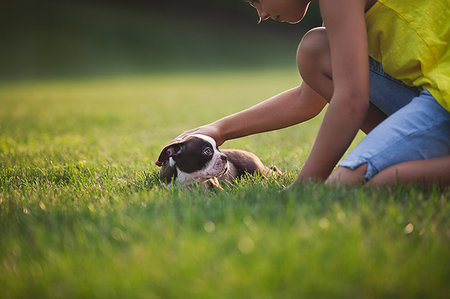 Side view of girl kneeling on grass stroking Boston Terrier puppy Stock Photo - Premium Royalty-Free, Code: 614-09212172