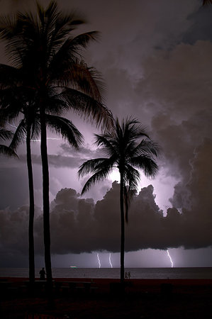 simsearch:614-08383692,k - Lightning flashes offshore behind palm trees at the beach, Fort Lauderdale, Florida, USA Foto de stock - Sin royalties Premium, Código: 614-09212186