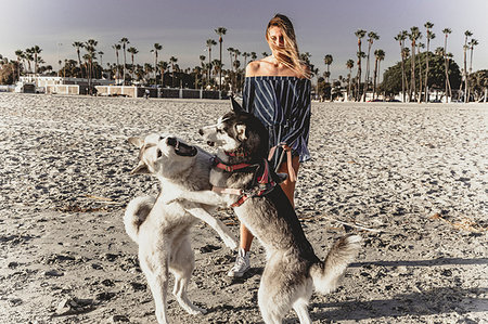 simsearch:614-09213744,k - Young woman watching pet dogs playfighting on beach Fotografie stock - Premium Royalty-Free, Codice: 614-09213748