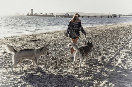 simsearch:614-09213744,k - Young woman walking pet dogs on beach Fotografie stock - Premium Royalty-Free, Codice: 614-09213749