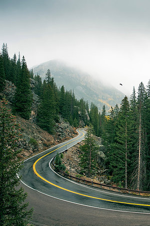 Winding road through forest, Aspen, Colorado, USA Stock Photo - Premium Royalty-Free, Code: 614-09213796