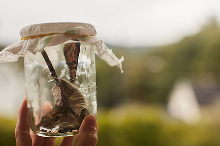 simsearch:700-06471346,k - Hand holding Monarch butterfly in jar Stock Photo - Premium Royalty-Free, Code: 614-09253738