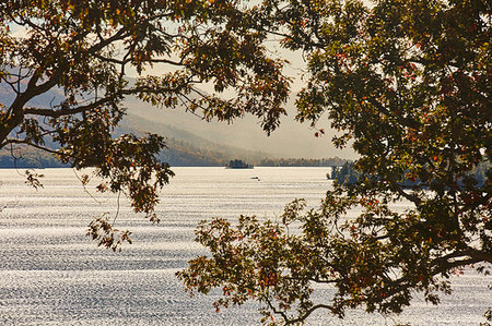 View of lake through trees Photographie de stock - Premium Libres de Droits, Code: 614-09253744