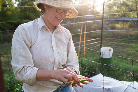 simsearch:649-08924927,k - Mature female gardener with homegrown green beans in garden Foto de stock - Sin royalties Premium, Código: 614-09253805